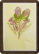 Flowers from Eden