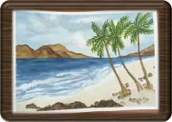 Stormy Tropical